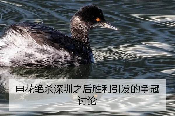 申花绝杀深圳之后胜利引发的争冠讨论
