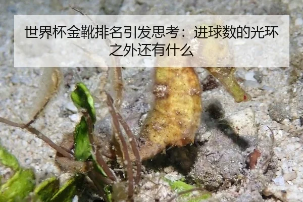 世界杯金靴排名引发思考：进球数的光环之外还有什么